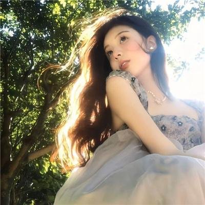 海燕双飞